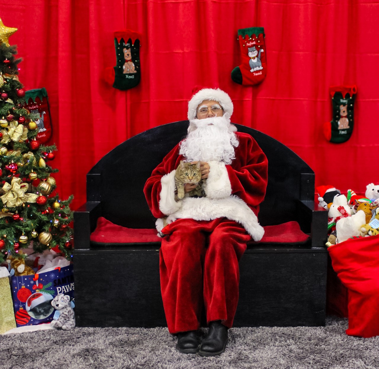 Picture for category Happy Holidays